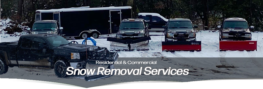 Five professional snow removal trucks parked in front of David's Lawn building.