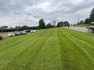 Commercial lawn care and hauling services.