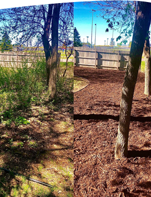 Landscaping Orono, MN