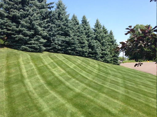 Photo showing commercial services