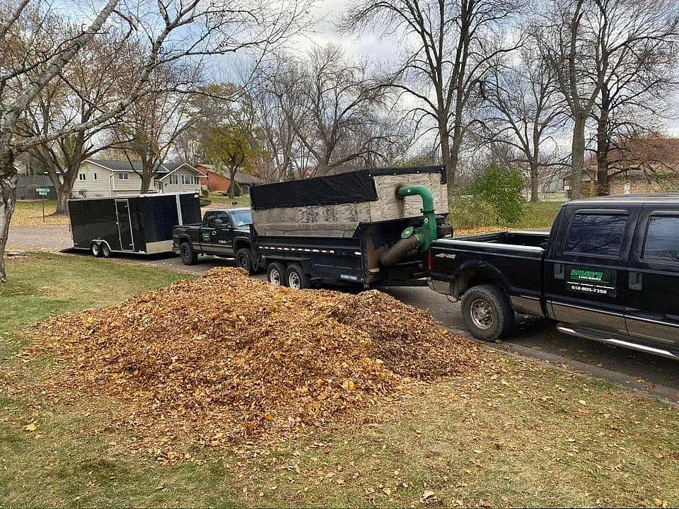 Leaf Removal Maple Grove Minnesota