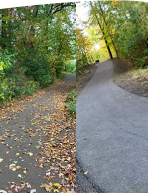 Leaf Cleanup Near Me