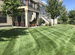Lawn Care Near Me